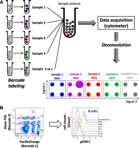 Image result for Barcoding Mass Cytometry