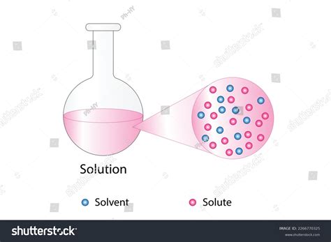 Solutions Solubility Homogeneous Mixture Solute Solvent Stock Vector ...