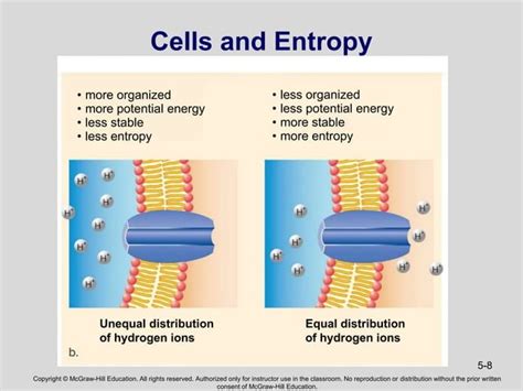 Image result for Dynamic Cell Progress