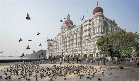 Planners of 26/11 terror attacks must be brought to justice: EAM ...