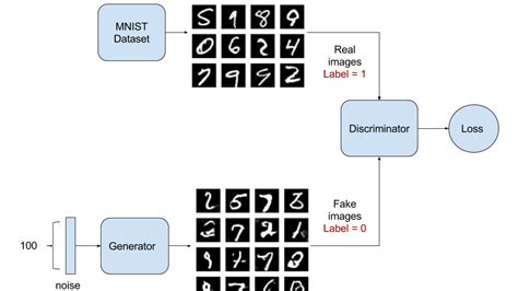 Image result for How Gan Model Work in Python