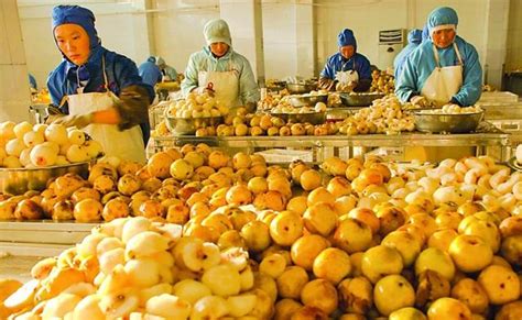 食品生产加工小作坊登记证发证公示
