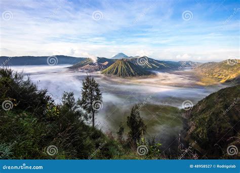 Semeru Java 的图像结果
