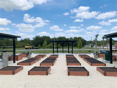 New River Library On 54 Is Open For The Curious — Neighborhood News