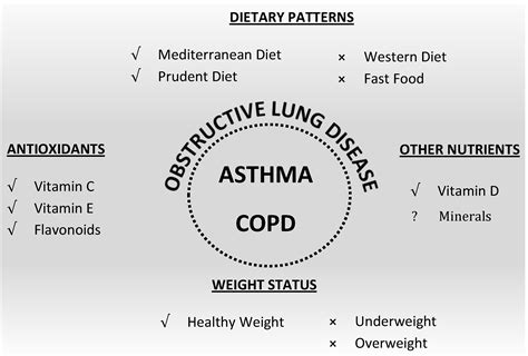 Nutrition and Respiratory Health—Feature Review