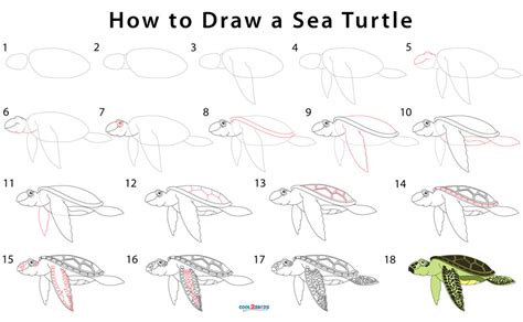 Image result for How to Draw a Turtle Step by Step Easy