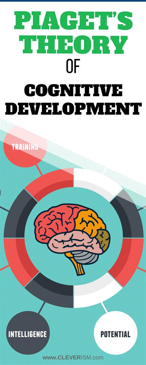 Cognitive Theory Piaget 的图像结果