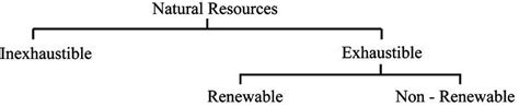 uses of natural resources flow charts - Brainly.in