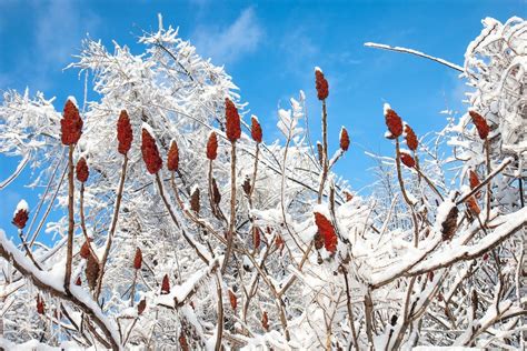 Public Walk – Leaside Spur, Leaside Spur Trail, Toronto, 4 December ...