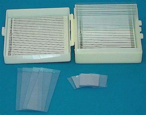 Image result for DIY Microscope Slide