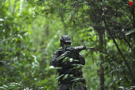 巴西特战部队丛林中作战训练_凤凰资讯