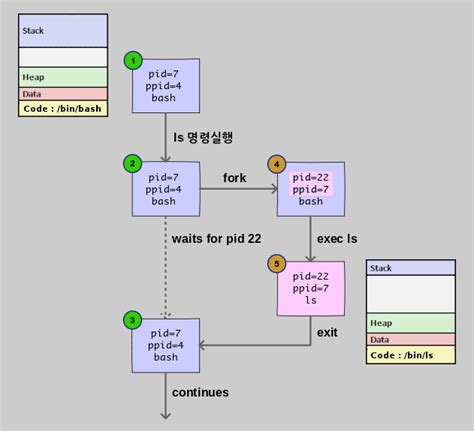 Image result for Process Creation in OS