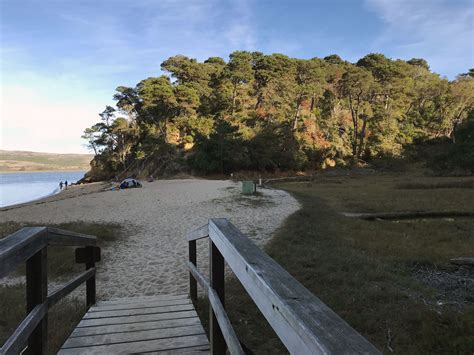 Image result for Shell Point Beach