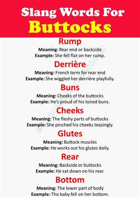 30+ Slang Words For Buttocks - Vocabulary Point