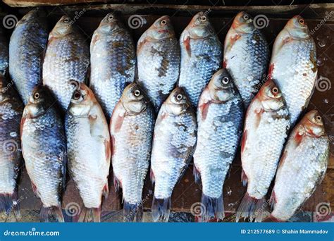 Pescados De Diferentes Tipos Y Variedades En El Mostrador Para La Venta ...