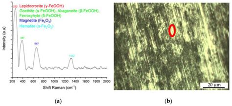 Influence of the Morphology of Eutectoid Steels on Corrosion Resistance ...