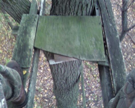 Image result for Tree Stand Platform Build