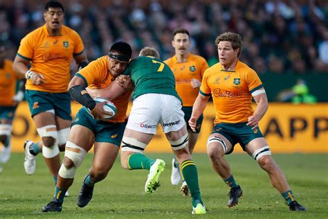 Rugby South Africa 的图像结果