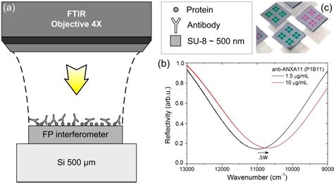 Antigen-Antibody Affinity for Dry Eye Biomarkers by Label Free ...