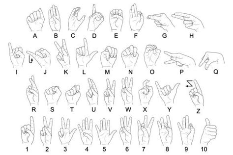 ASL Number Signs 的图像结果
