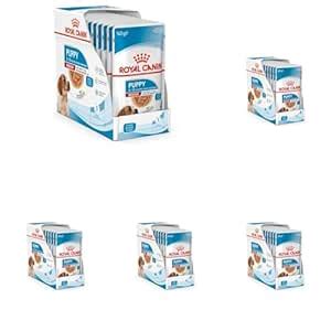 Royal Canin Puppy for Stage 3 Puppies, Puppy Food, 140 Grams, Pack of ...
