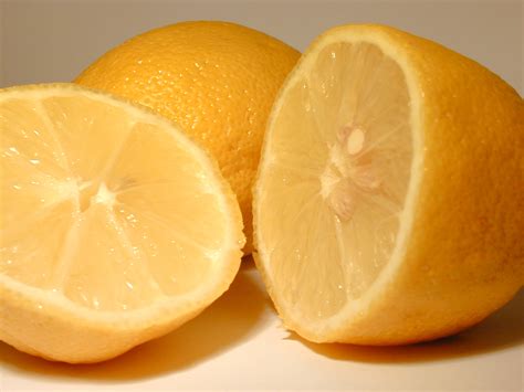 Free photo: Sliced lemons - Acid, Citric, Citrus - Free Download - Jooinn
