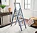 Image result for QVC 4 Ladder Step