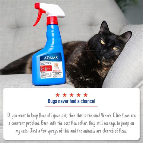 Adams Flea & Tick Spray for Cats | Adams™