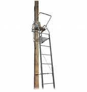 Image result for Ladder Stand Setup