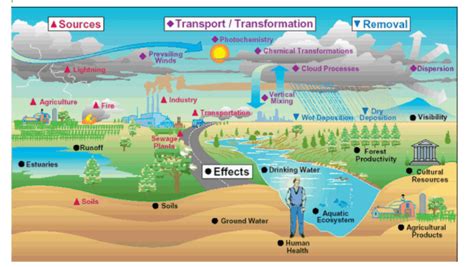 Environment Pollution- Introduction, Types and Sources - INSIGHTSIAS