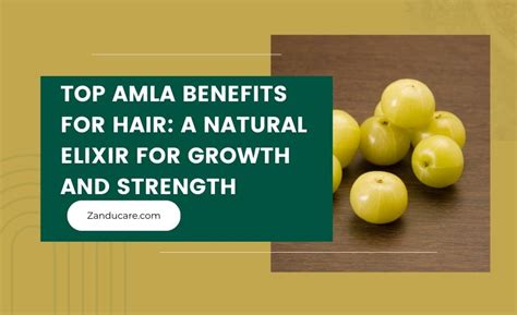 8 Amla Benefits for Hair Health & How to Use it Properly