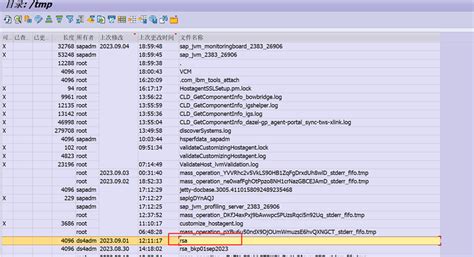 How to Pull RSA Token From EXEFile 的图像结果