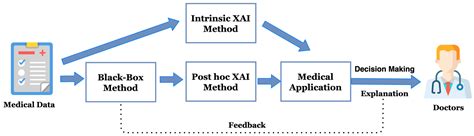 Applications of Explainable Artificial Intelligence in Diagnosis and ...