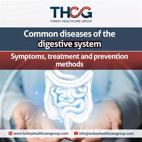 Digestive System Diseases 的图像结果