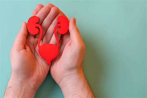 Image result for CT Cystogram vs Urogram