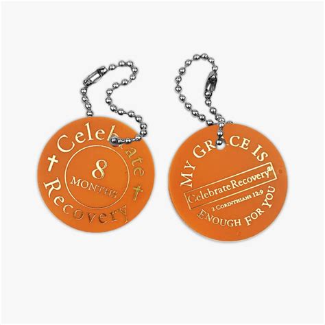 Image result for Addiction Recovery Chip