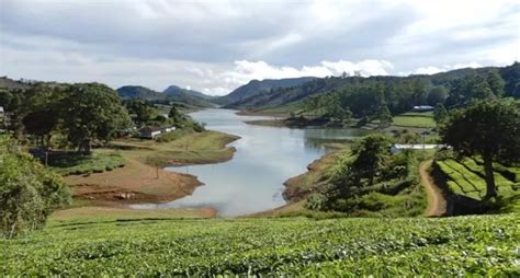 Head To The Cloud-Covered Mountains Of Meghamalai For A Trip To The Tea ...