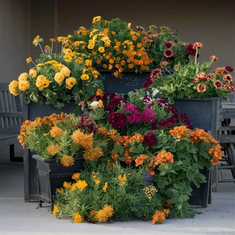 How to plant a container garden in 7 easy steps - Bluenose Blooms Home ...