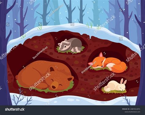 Do Bats Hibernate In The Winter In New York