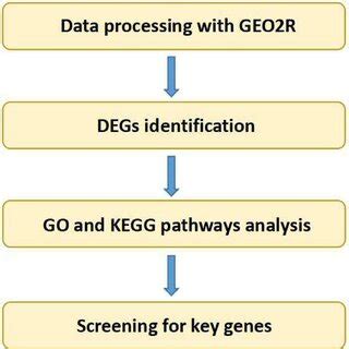 Data Analysis 的图像结果