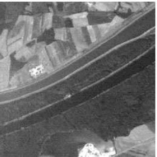 Coding region Function 的图像结果