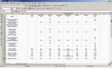 Image result for OpenOffice Calc Tutorial FR