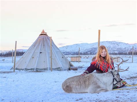 TROMSO ARCTIC REINDEER (Updated 2026) All You Need to Know BEFORE You ...