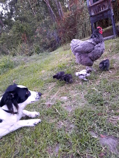 Lexi (@miss_lexi_hart) • Instagram photos and videos