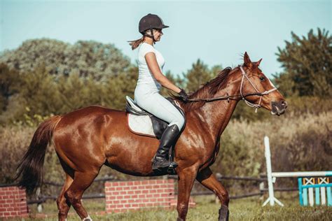 Horseback riding is the most dangerous sport, study warns