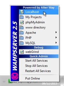 Wamp Localhost 的图像结果