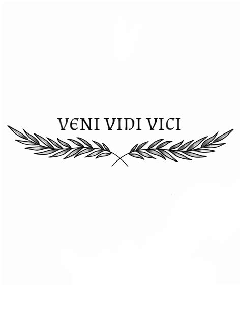 Best 13 VENI VIDI VICI I came I saw I conquered by podartist – Artofit