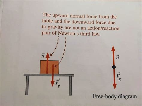 Newton's Third Law 的图像结果