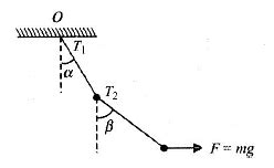 Newton's Laws Of Motion MCQ Level-1 | 20 Questions MCQ Test Class 11
