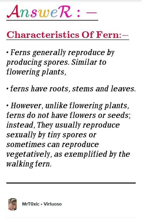 Characteristics of Fern - Brainly.in